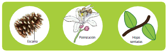 conceptos generales