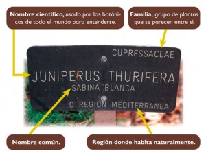etiqueta etiqueta rotulada