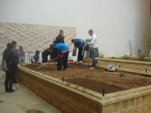 Preparando el terreno
