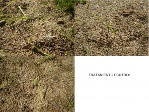 Comparación tratamiento 2