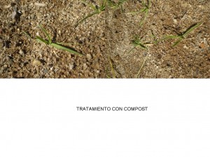 Comparación tratamiento 3