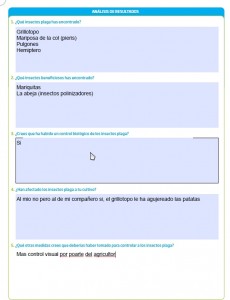 Ficha Diego