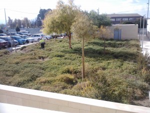 Las Fuentes 1