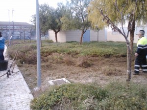 Las Fuentes 4