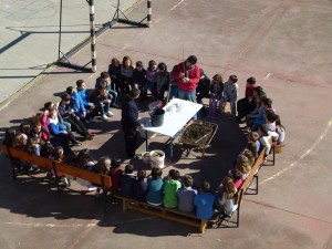 Clase con rosal 21 feb
