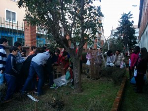 Compostando 24 feb