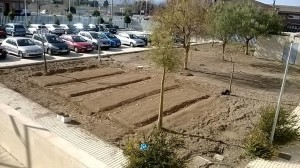 Preparación parcelas 20 feb