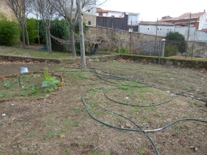 Terrenos huerto 2