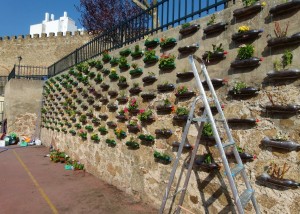 Jardín vertical 1403