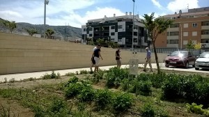 Nuestro espantapájaros 2 22-05