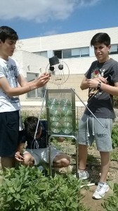 Nuestro espantapájaros 22-05