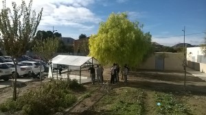 Comienza el curso hortícola