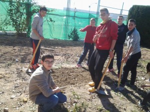 Equipazo de trabajo