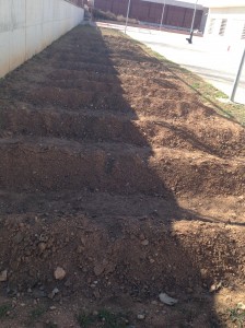 Preparación terreno