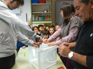 Preparando la jaula