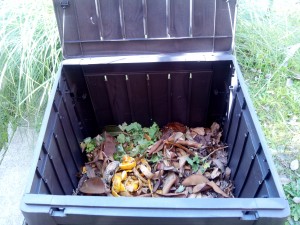 Primeros pasos del compost