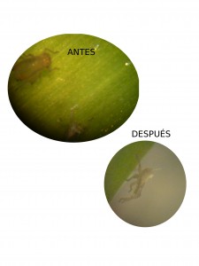El antes y el después