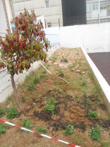 Huerto enriquecido