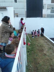 Nuestro jardín es un huerto
