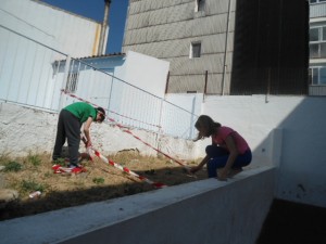 Parcelando el huerto