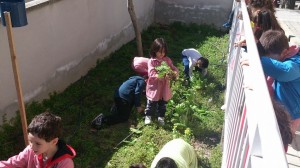 Pequeños hortelanos