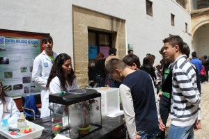 Jornadas de las Ciencias Úbeda
