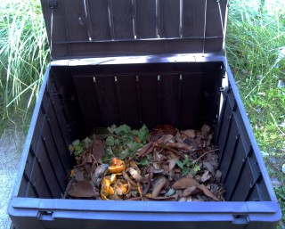 Primeros pasos del compost