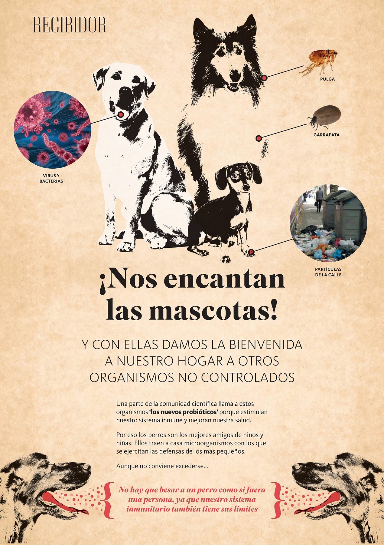 biodiversidad doméstica, exposición, ciudad ciencia