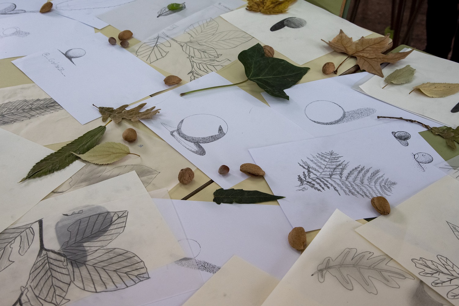 IES BSimancas - Taller Irene Cuesta Ilustración 20_11_2019_55